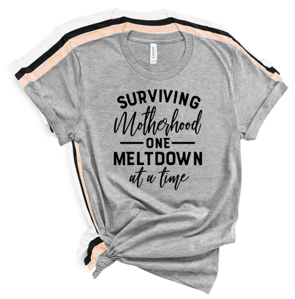 SURVIVING MOTHERHOOD ONE MELTDOWN AT A TIME