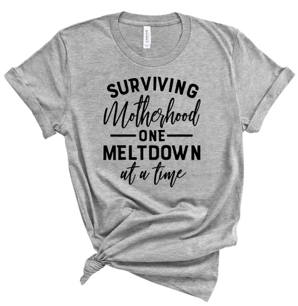 SURVIVING MOTHERHOOD ONE MELTDOWN AT A TIME