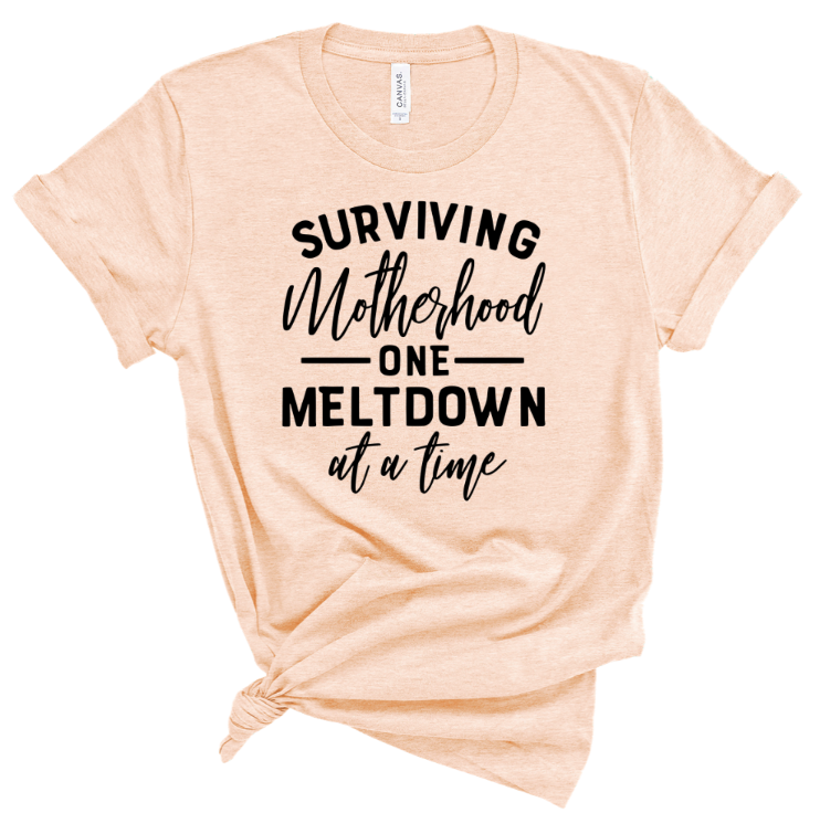 SURVIVING MOTHERHOOD ONE MELTDOWN AT A TIME