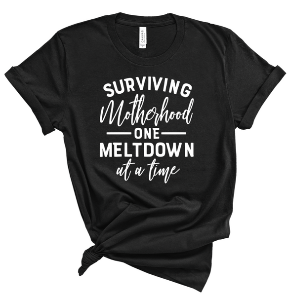 SURVIVING MOTHERHOOD ONE MELTDOWN AT A TIME