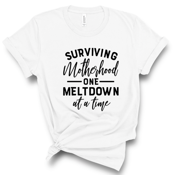 SURVIVING MOTHERHOOD ONE MELTDOWN AT A TIME